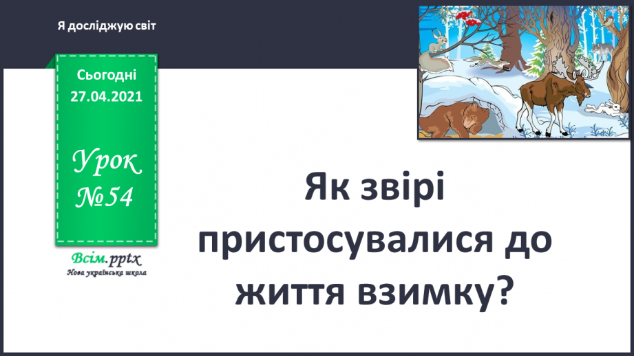 №054 - Як звірі пристосувалися до життя взимку?0