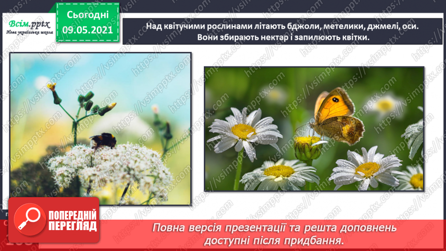 №074-75 - Які тварини живуть на луках, у степах і водоймах?8