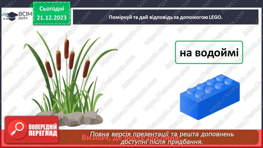 №049 - Чому рослини такі різні20 №049 - Чому рослини такі різні20