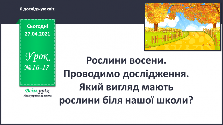 №016 - 017 - Рослини восени. Проводимо дослідження. Який вигляд мають рослини біля нашої школи?0