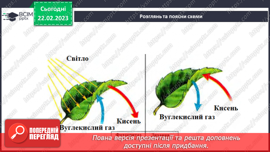 №075 - Живлення рослин.7