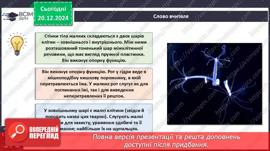 №50 - Жалкі двошарові тварини.8