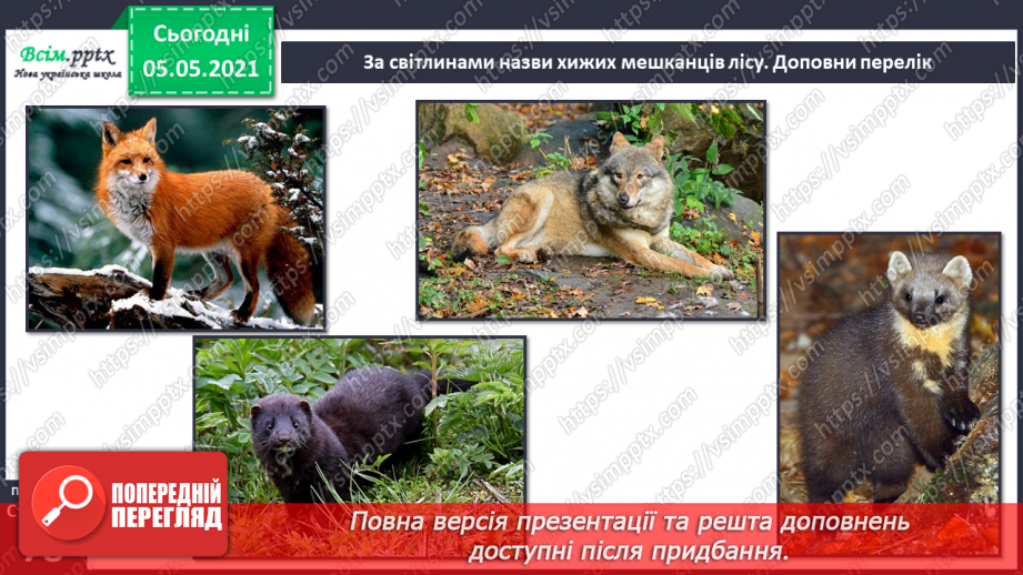 №050 - Природні угруповання. Природне угруповання — ліс.18