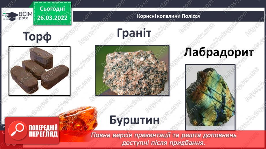 №081 - Чому господарська діяльність людей залежить    від природи  в Поліссі?17