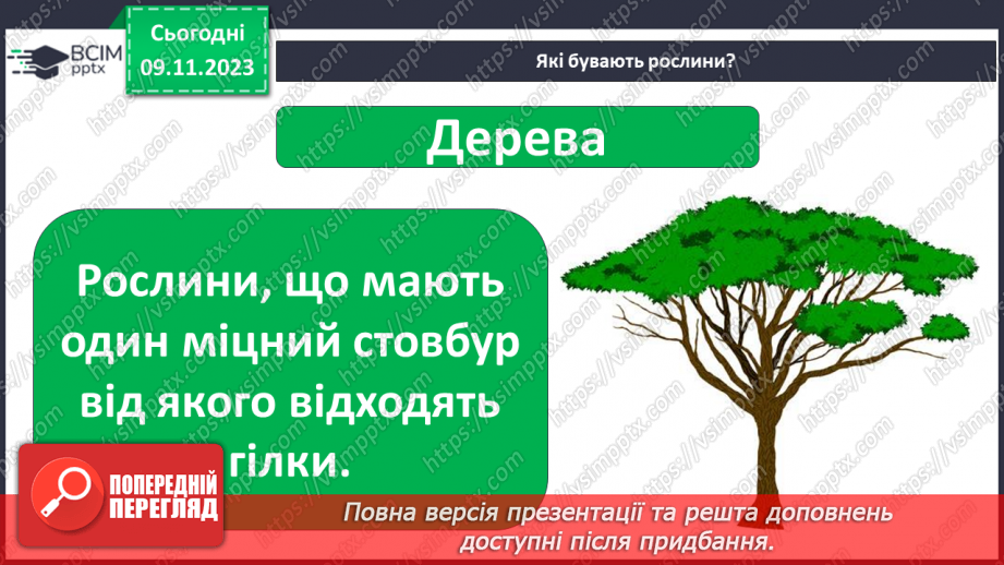 №034 - Рослини. Світ природи розмаїтий…9 №034 - Рослини. Світ природи розмаїтий…9