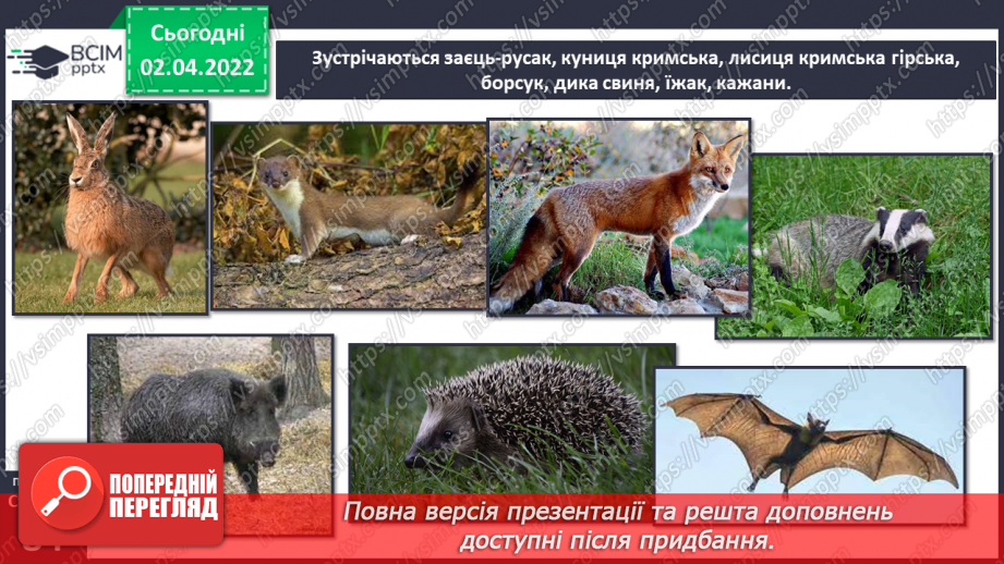 №083 - Кримські гори.15