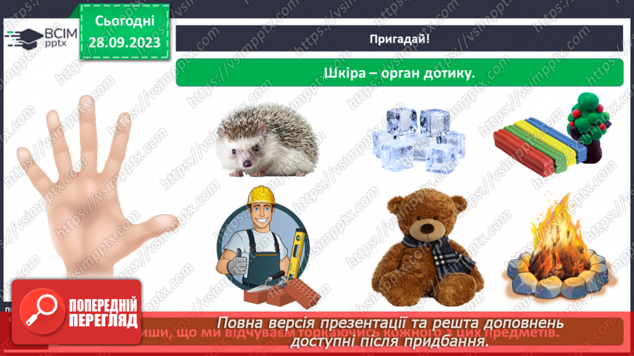 №017 - Органи чуття. Узагальнення4