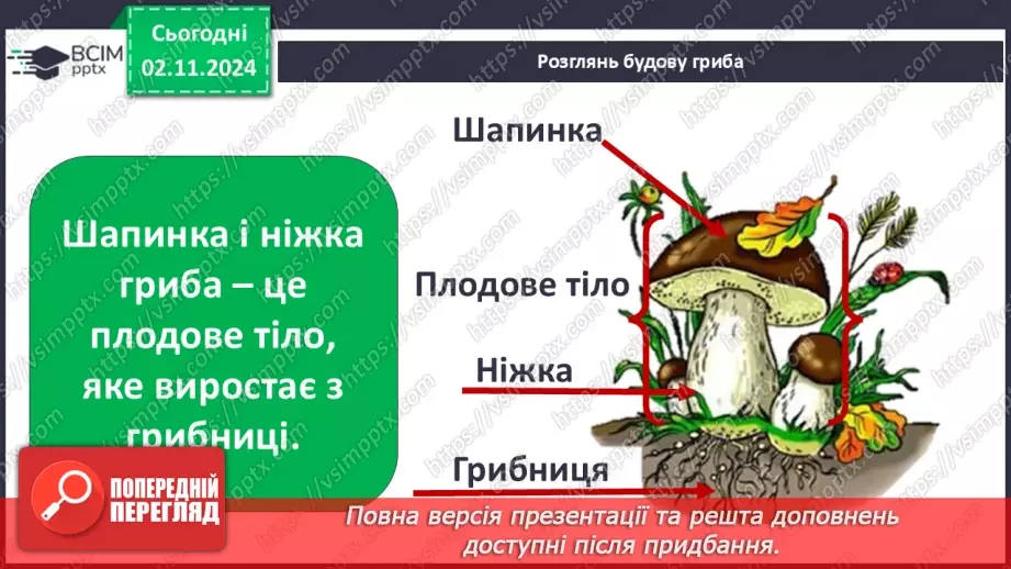 №0033 - Чи всі гриби їстівні8 №0033 - Чи всі гриби їстівні8