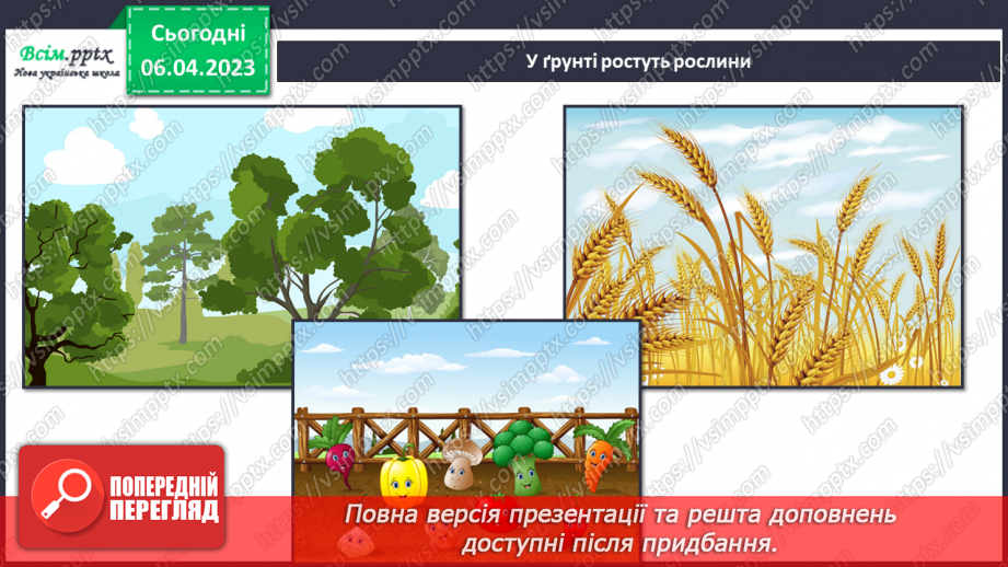 №31 - Виготовлення моделі проростання рослин6 №31 - Виготовлення моделі проростання рослин6