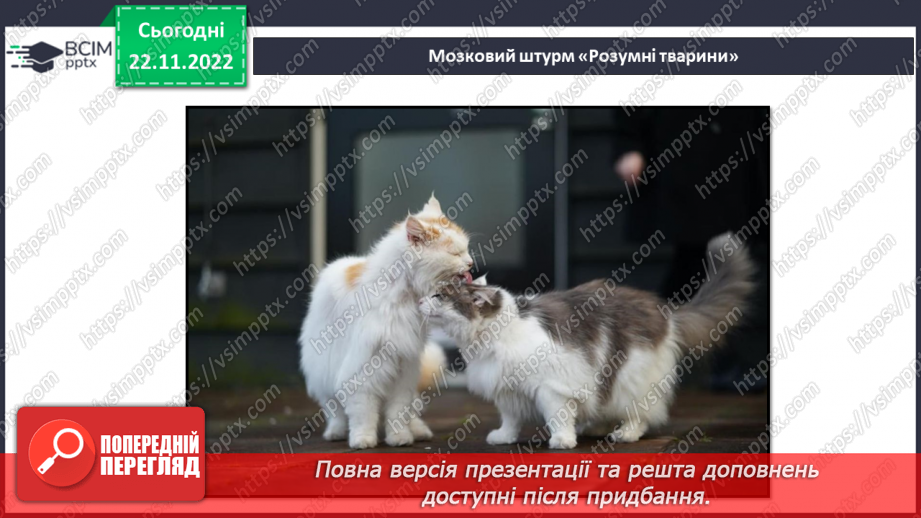 №045 - Найрозумніші тварини.7