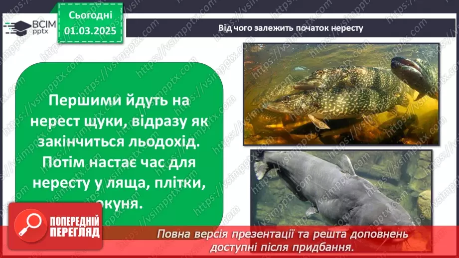 №0073 - Як змінюється життя у водоймах навесні9 №0073 - Як змінюється життя у водоймах навесні9