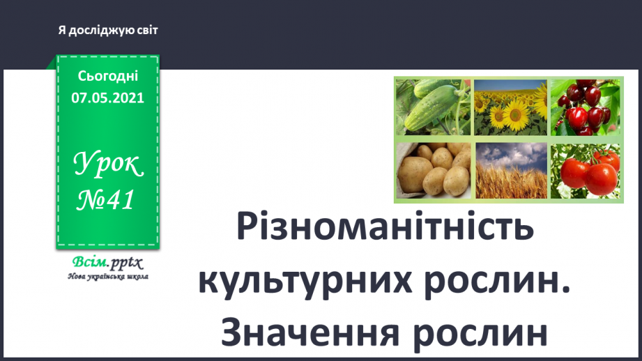 №041 - Різноманітність культурних рослин. Значення рослин0 №041 - Різноманітність культурних рослин. Значення рослин0