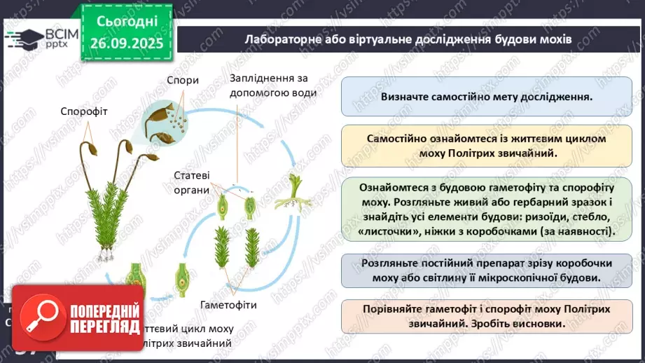 №017 - Вищі спорові рослини: мохи та плауни. Їхнє значення в екосистемах і використання20 №017 - Вищі спорові рослини: мохи та плауни. Їхнє значення в екосистемах і використання20