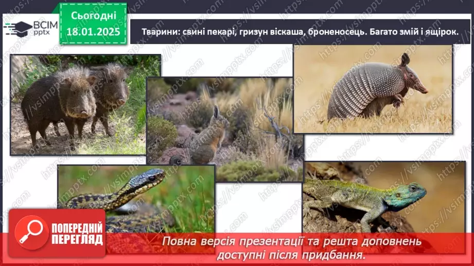 №37 - У чому особливість природних зон Південної Америки.15