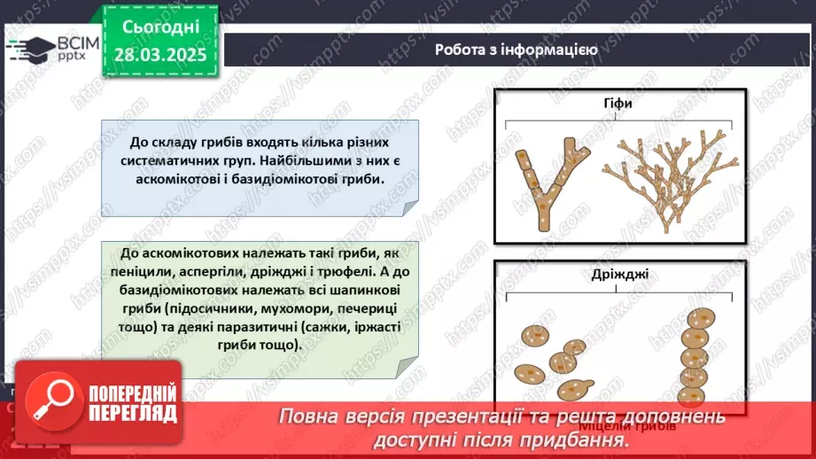 №74 - Особливості живлення та різноманіття грибів.17