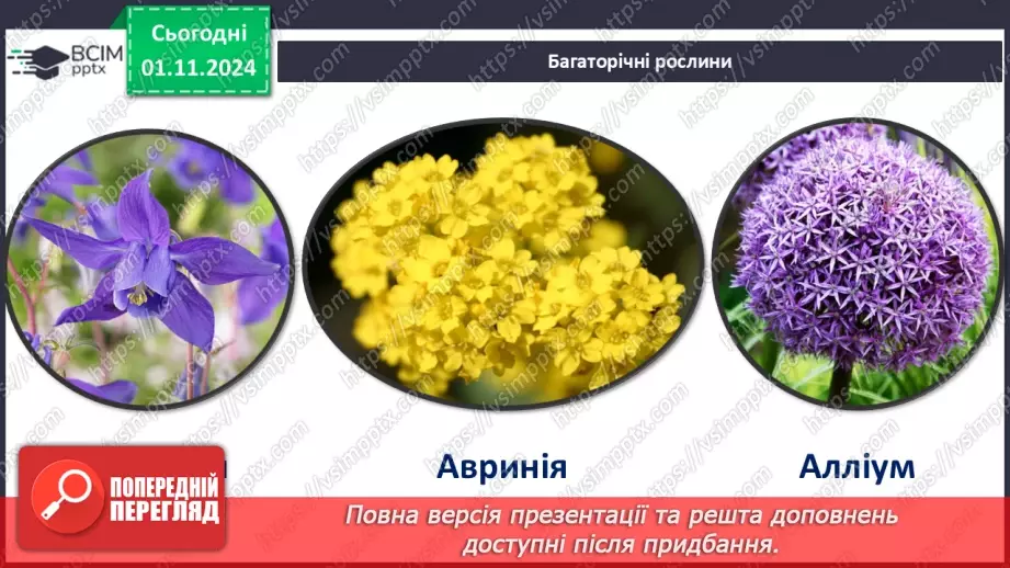 №32 - Квіткові. Квітка і суцвіття. Запилення.11 №32 - Квіткові. Квітка і суцвіття. Запилення.11