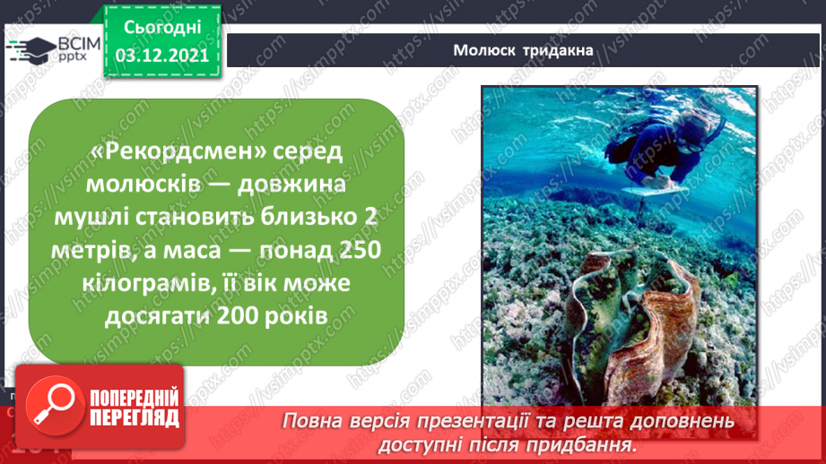 №044 - Океани Землі. Особливості природи океанів18 №044 - Океани Землі. Особливості природи океанів18