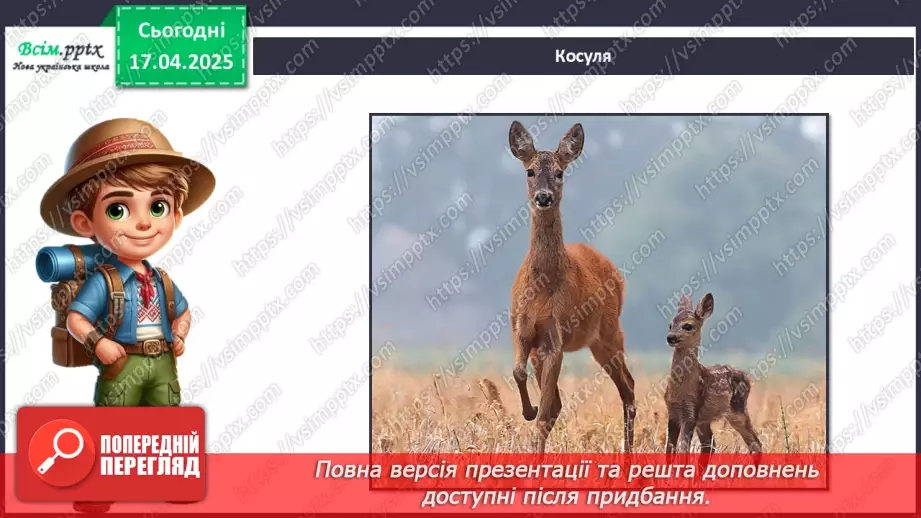 №0093 - Які турботи у тварин улітку10