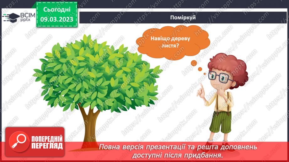№081 - Чарівне листя рослин. Досліджуємо рослини.5
