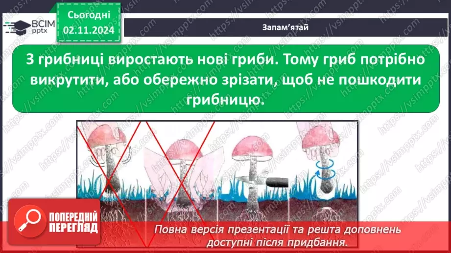 №0033 - Чи всі гриби їстівні10 №0033 - Чи всі гриби їстівні10