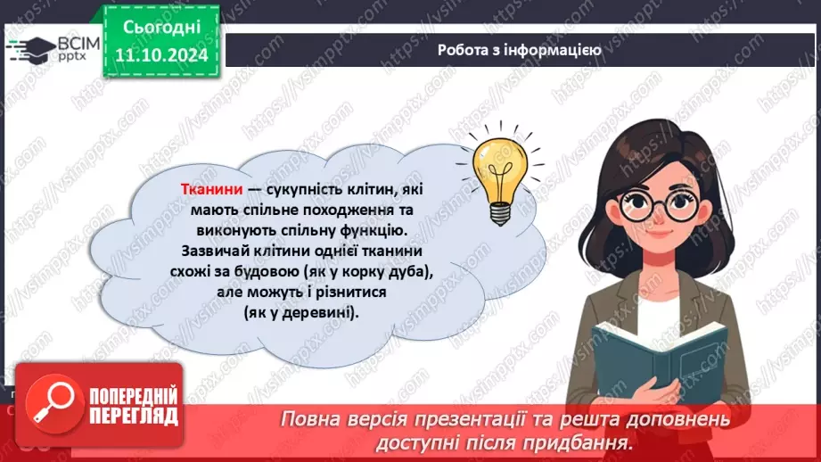 №23 - Тканини і органи рослин.19 №23 - Тканини і органи рослин.19