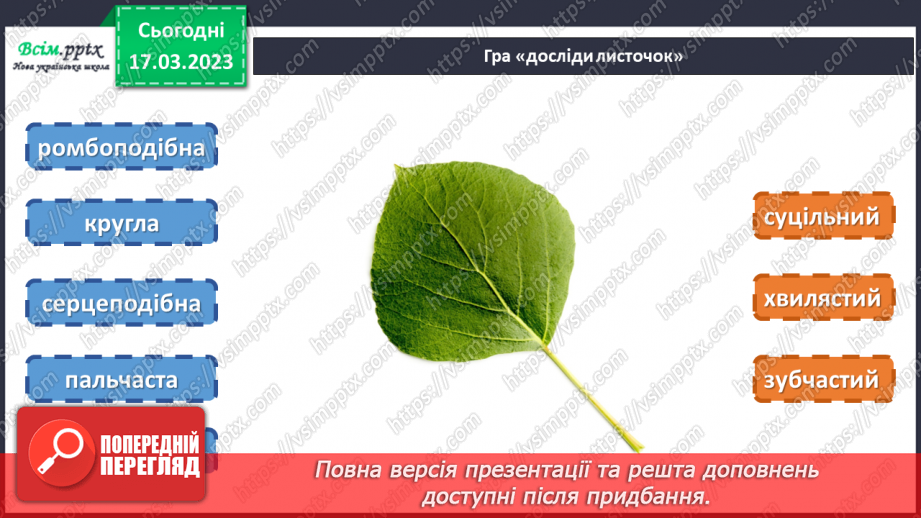№28 - Живі листки на папері. Створення весняної листівки на тему «Бережімо природу»11 №28 - Живі листки на папері. Створення весняної листівки на тему «Бережімо природу»11