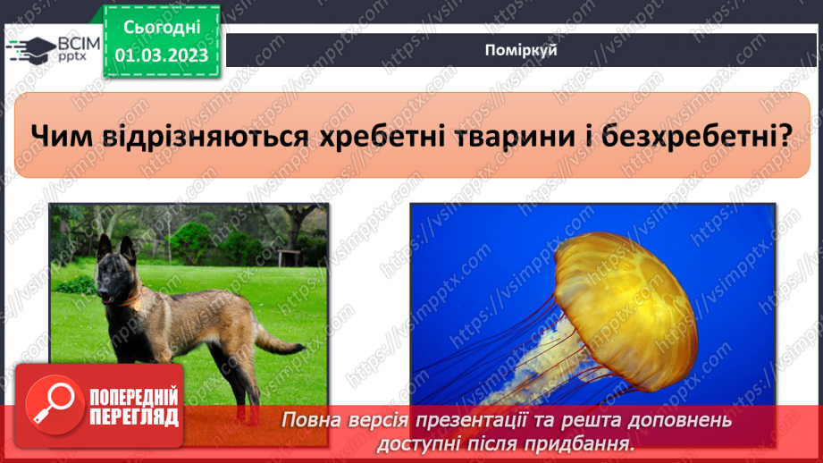 №076 - Хребетні та безхребетні тварини. Множини тварин.9