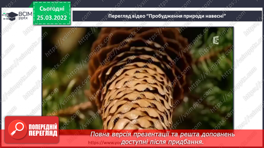 №080 - Як погода впливає на настрій? Надійний сховок, гігрометр із шишки.4