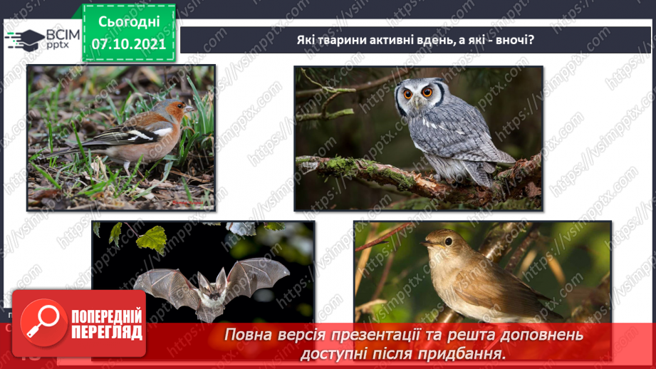 №024 - Рухи Землі і їх наслідки. Рух Землі навколо своєї осі10 №024 - Рухи Землі і їх наслідки. Рух Землі навколо своєї осі10