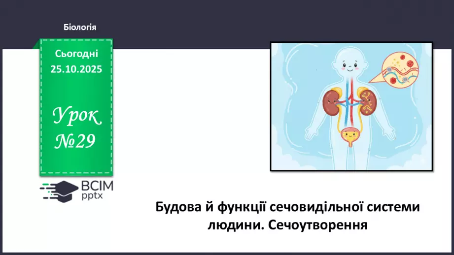 №029 - Будова й функції сечовидільної системи людини. Сечоутворення.0 №029 - Будова й функції сечовидільної системи людини. Сечоутворення.0
