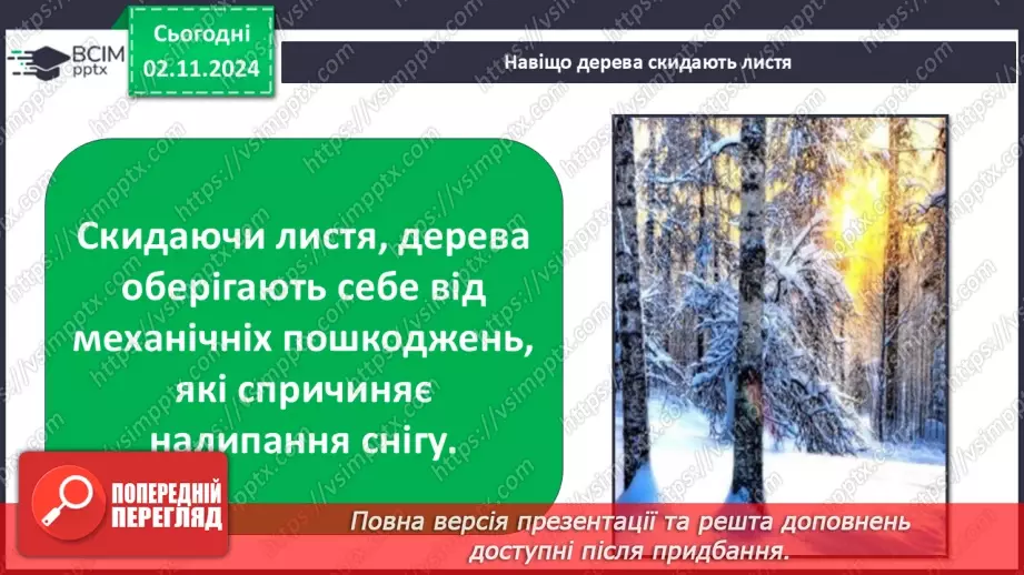 №0032 - Як рослини готуються до зими12 №0032 - Як рослини готуються до зими12