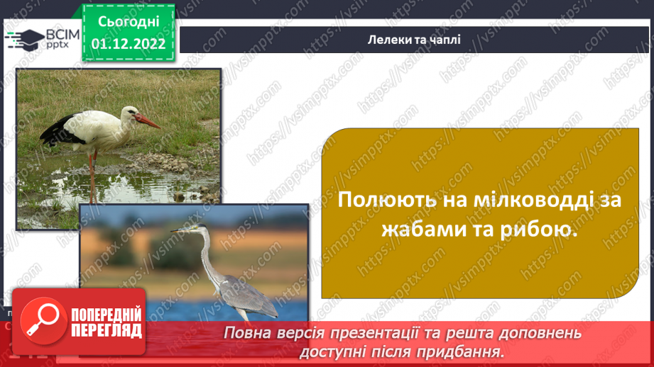 №048 - Мешканці океанів та прісних водойм.32
