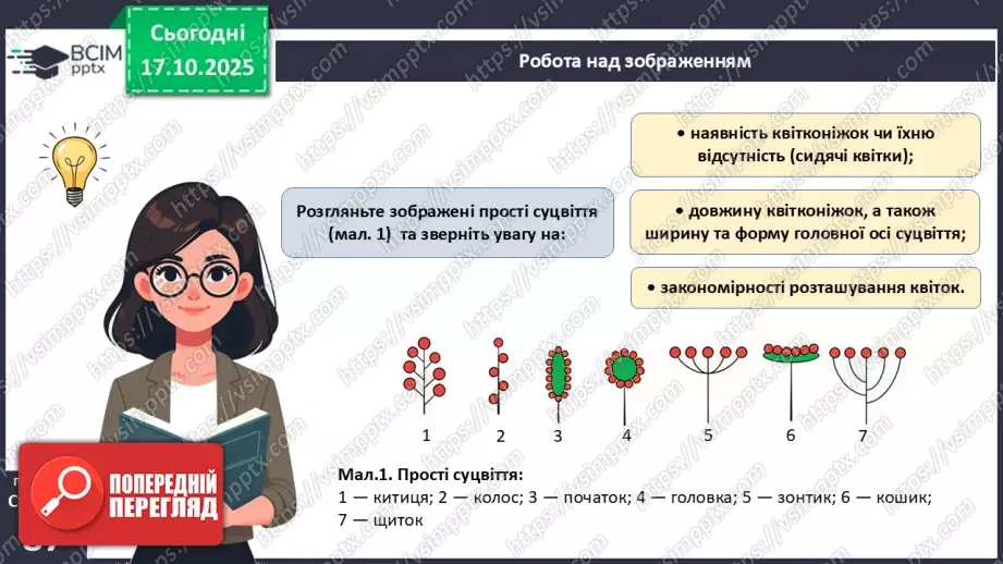 №025 - Покритонасінні рослини: пристосування до життя на суходолі, суцвіття, запилення й запліднення.10 №025 - Покритонасінні рослини: пристосування до життя на суходолі, суцвіття, запилення й запліднення.10