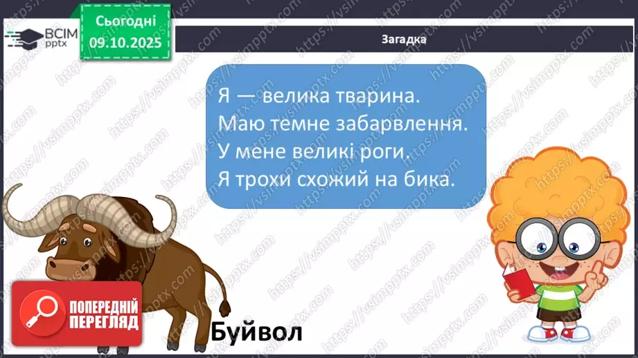 №024 - Комахи та звірі Кенії27 №024 - Комахи та звірі Кенії27