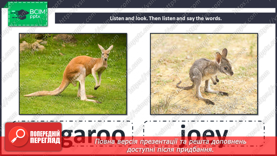 №087 - Unit 8. Look at that baby! Animals and their babies.9 №087 - Unit 8. Look at that baby! Animals and their babies.9