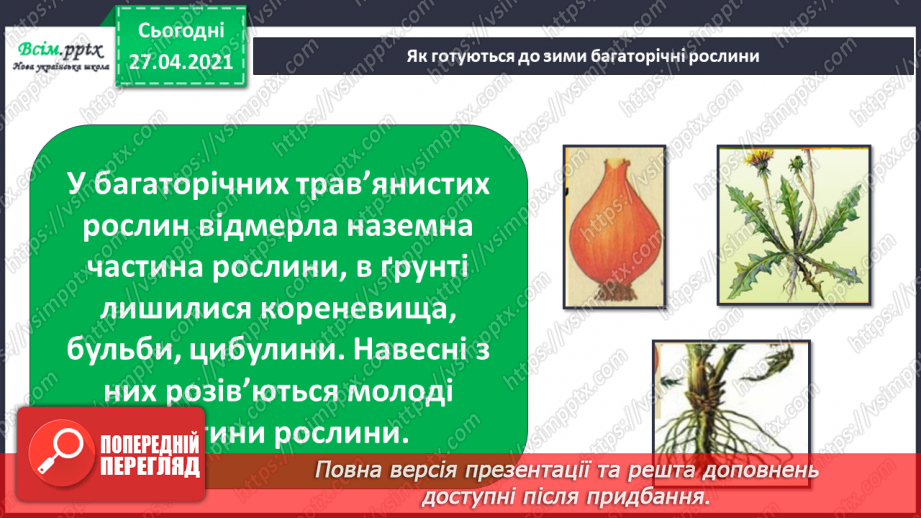 №032 - Як рослини готуються до зими16