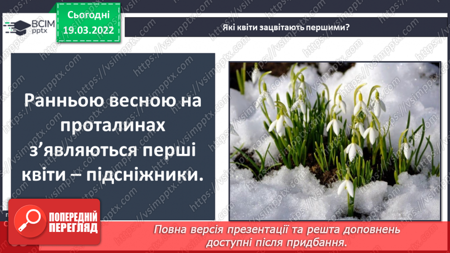 №078 - Природні зони України. Мішані та широколисті ліси.8 №078 - Природні зони України. Мішані та широколисті ліси.8