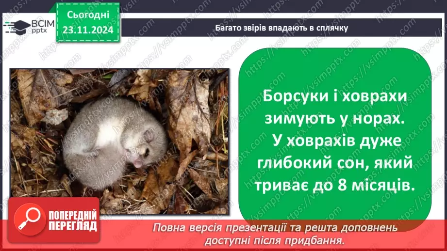 №0037 - Як звірі готуються до зими26 №0037 - Як звірі готуються до зими26