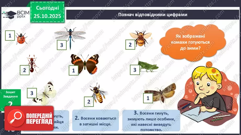 №028 - Комахи восени.17 №028 - Комахи восени.17
