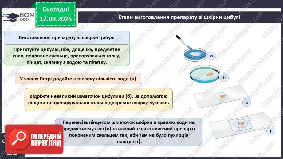 №010 - Лабораторне дослідження «Виготовлення тимчасового препарату для світлової мікроскопії».6 №010 - Лабораторне дослідження «Виготовлення тимчасового препарату для світлової мікроскопії».6