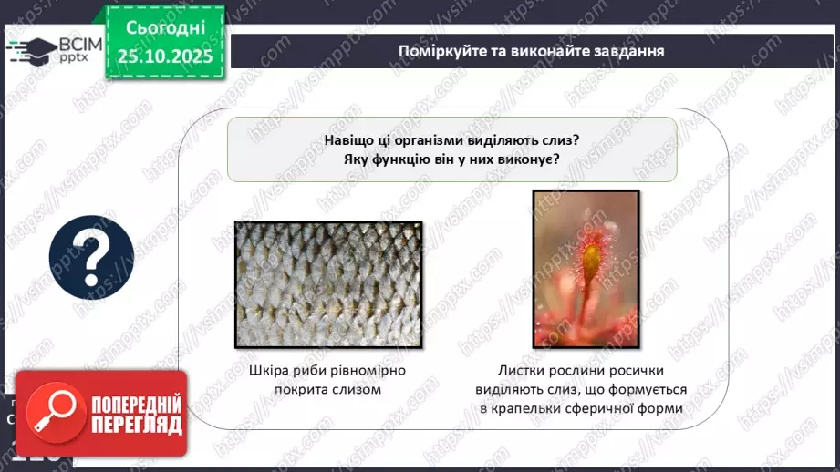 №028 - Виділення як властивість живого. Еволюція видільної системи тварин.6 №028 - Виділення як властивість живого. Еволюція видільної системи тварин.6