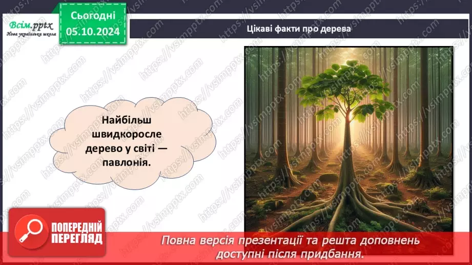 №07 - Аплікація з паперу. Проєктна робота «Аплікація рослин, які ростуть на шкільному подвір’ї».18