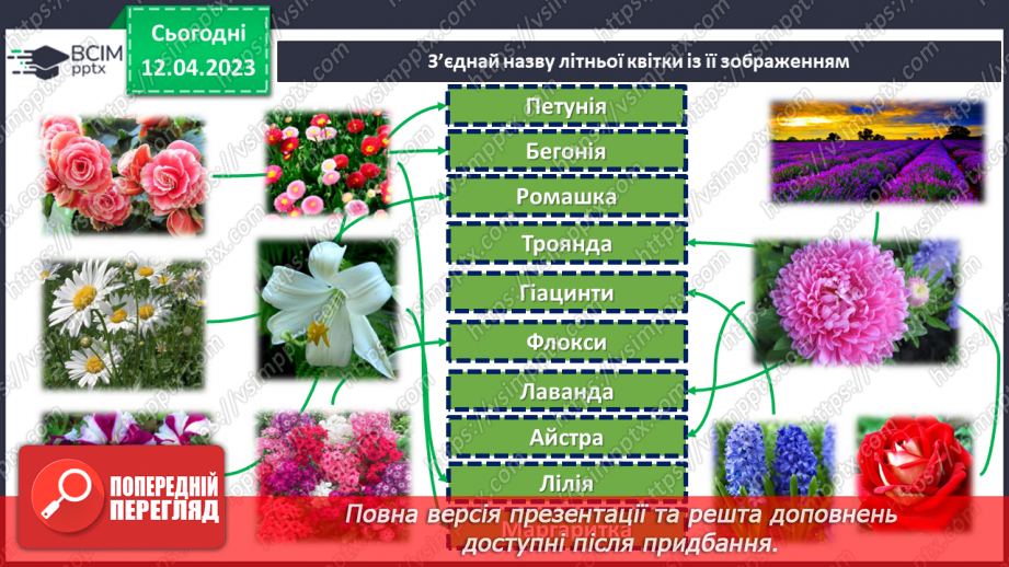 №0095 - Рослини влітку25