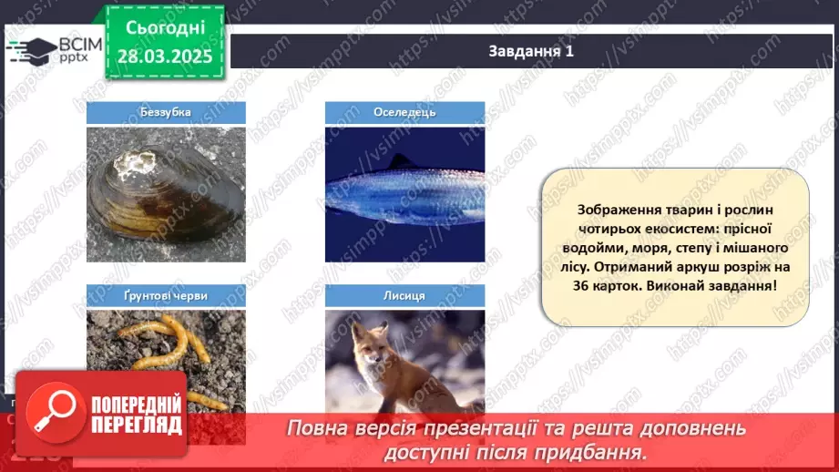 №73 - Узагальнювальні дослідницькі завдання.13