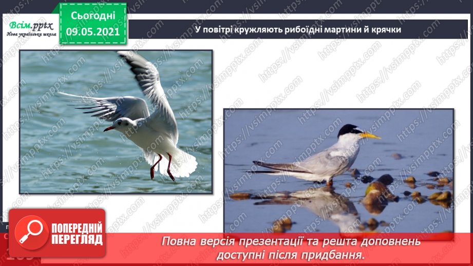 №074-75 - Які тварини живуть на луках, у степах і водоймах?28