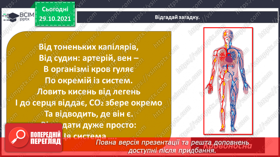 №033 - Чому кров червона?4