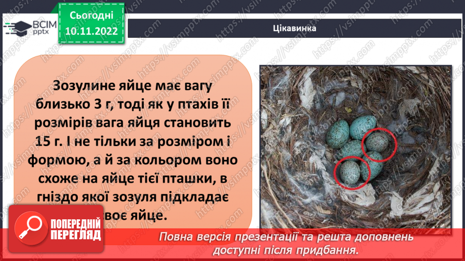 №037 - Як класифікують тварин. Властивості ссавців і птахів.31 №037 - Як класифікують тварин. Властивості ссавців і птахів.31