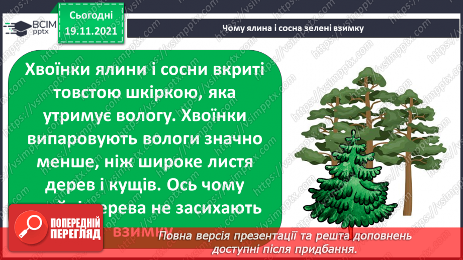 №13 - Проєкт «Карпатська красуня»3 №13 - Проєкт «Карпатська красуня»3