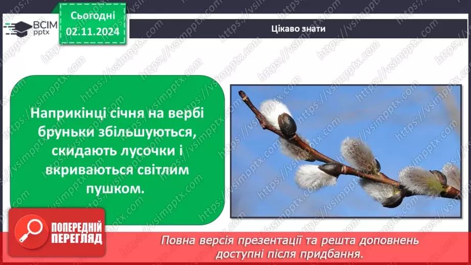 №0032 - Як рослини готуються до зими14 №0032 - Як рослини готуються до зими14