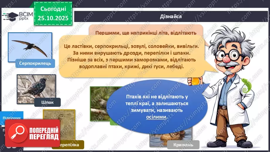 №029 - Птахи восени.8 №029 - Птахи восени.8